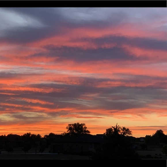 Meet your Posher, Danielle - Picture 1 of 1